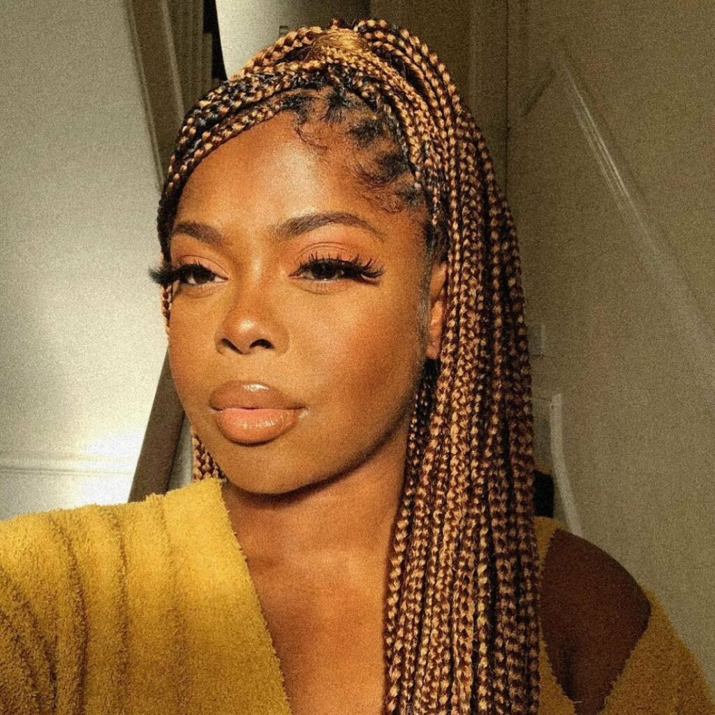 Image of Brown Box Braids in the style of box braids