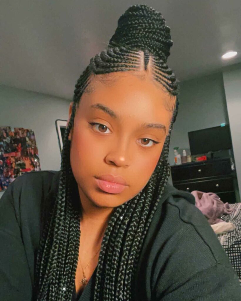 Image of Half Up Half Down Tribal Braids inspired by Tribal Braids Hairstyles