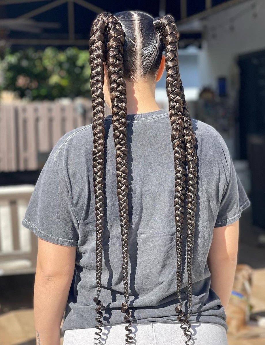 Double Braid Pigtail Hairdo